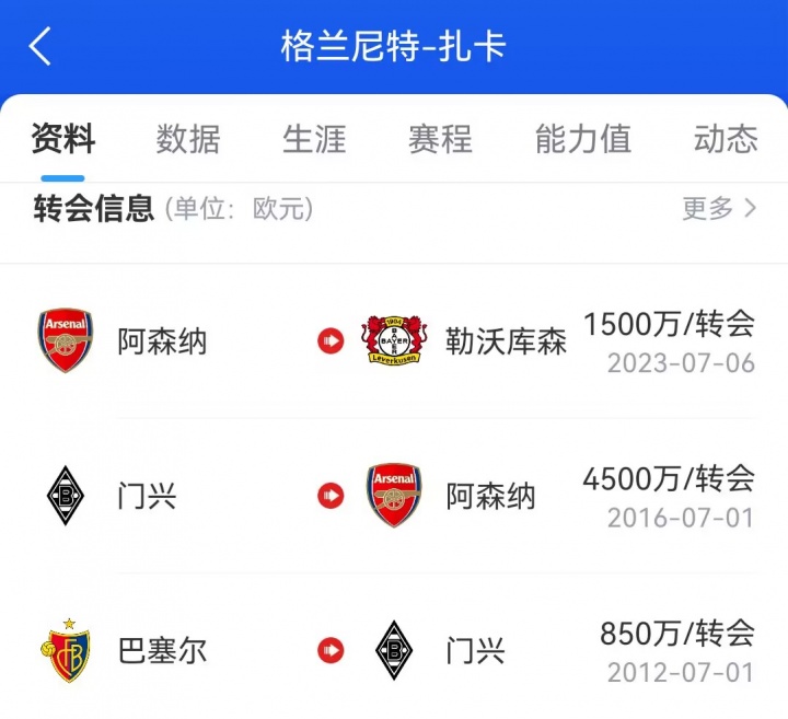entit, 阿森纳队长