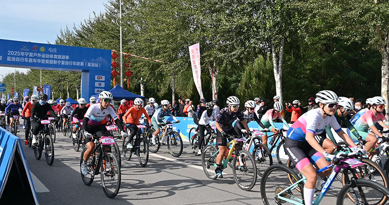 盐池县委宣 盐池县委宣